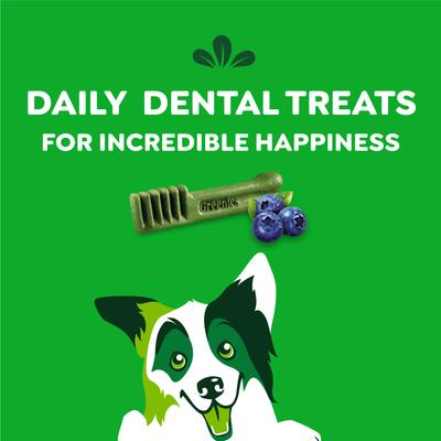 Blueberry Regular Dental Dog Treats, 36 count bundle
