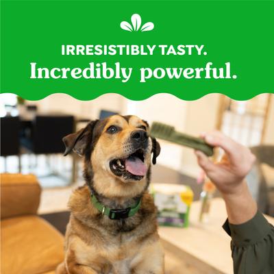 Large Natural Original Chicken Flavor Dental Dog Treats, 8 count