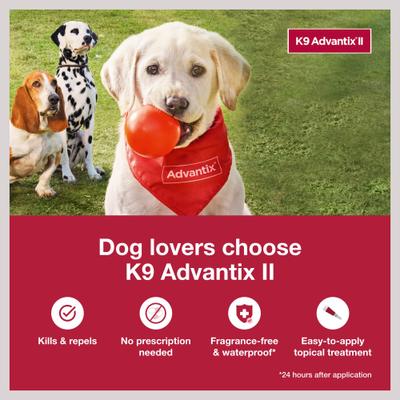 Bundle: K9 Advantix II Flea & Tick Spot Treatment for Dogs, 11-20 lbs + Pet Protect Allergy & Immune+ Supplement, 60 count