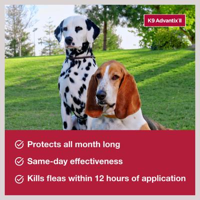 Bundle: K9 Advantix II Flea & Tick Spot Treatment for Dogs, 11-20 lbs, 2 Doses + Pet Protect Skin Health Supplement, 60 count