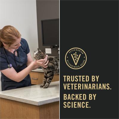 Vital Systems 4-in-1 Salmon Pate Wet Cat Food, 3-oz can, case of 24