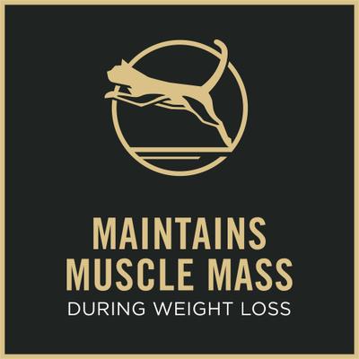 Weight Management Chicken & Rice Entree in Gravy Wet Cat Food, 3-oz can, case of 24