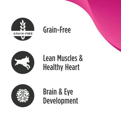 Puppy Grain-Free Chicken, Salmon, & Lentils Recipe Wet Pate Canned Dog Food, 13-oz, case of 12