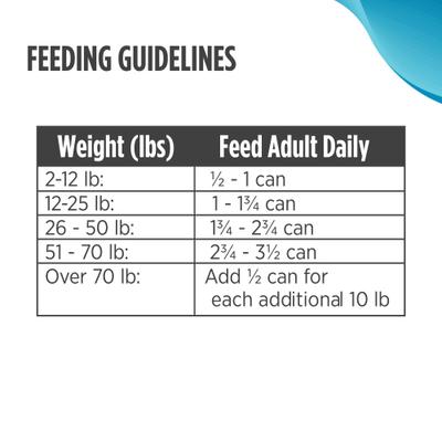 Adult Grain-Free Salmon & Chickpeas Recipe Wet Pate Canned Dog Food, 13 Ounce Cans, 12-Count, 13-oz, case of 12