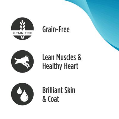 Adult Grain-Free Salmon & Chickpeas Recipe Wet Pate Canned Dog Food, 13 Ounce Cans, 12-Count, 13-oz, case of 12