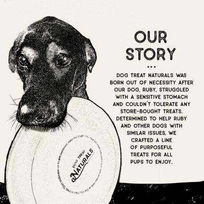 Golosinas masticables naturales para perros de pavo y arándanos Superfood Fresh All Stages, bolsa de 10 oz