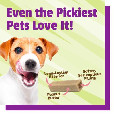 BusyButter Balanced Belly Pumpkin & Probiotic Peanut Butter Flavored Dog Chews, Medium/Large, 4 count