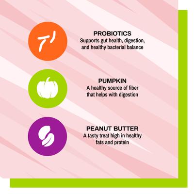 BusyButter Balanced Belly Pumpkin & Probiotic Peanut Butter Flavored Dog Chews, Medium/Large, 4 count