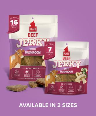 Beef Jerky with Mushroom Dog Treats, 16-oz bag