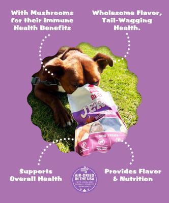 Beef Jerky with Mushroom Dog Treats, 16-oz bag