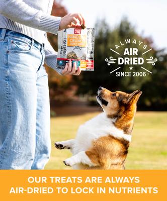 Hundur's Crunch Jerky Minis Dog Treats, 10-oz bag