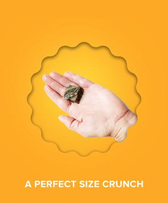 Hundur's Crunch Jerky Minis Dog Treats, 10-oz bag