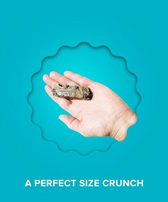 Hundur's Crunch Jerky Fingers Dog Treats, 10-oz bag