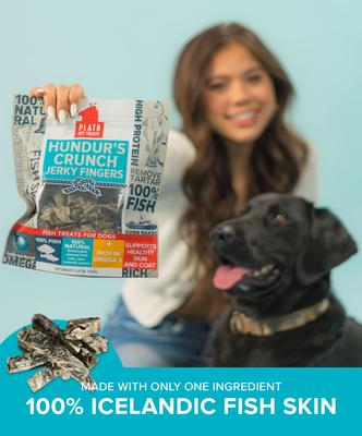 Hundur's Crunch Jerky Fingers Dog Treats, 10-oz bag