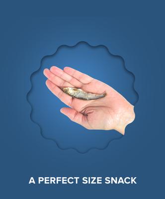 Baltic Sprat Dehydrated Dog Treats, 7.5-oz bag