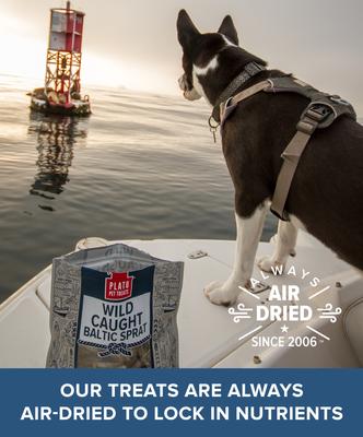 Baltic Sprat Dehydrated Dog Treats, 7.5-oz bag