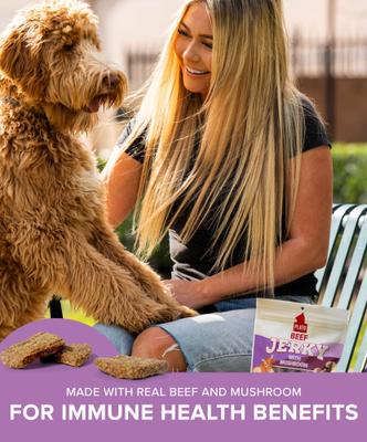 Beef Jerky with Mushroom Dog Treats, 16-oz bag