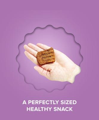 Beef Jerky with Mushroom Dog Treats, 16-oz bag