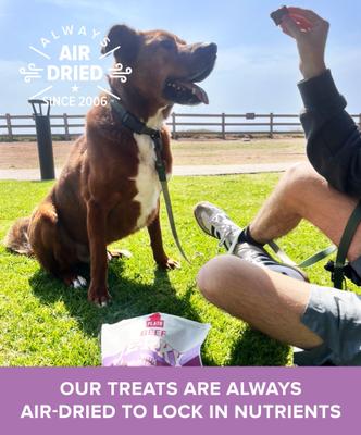 Beef Jerky with Mushroom Dog Treats, 16-oz bag