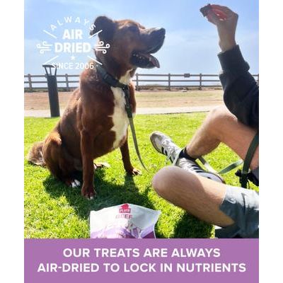 Premios para perros de carne seca con champiñones, bolsa de 16 oz