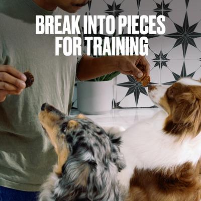 Beef & Blueberry Wafers Dehydrated Dog Treats, 7-oz pouch