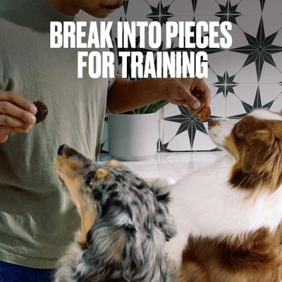 Chicken & Cranberry Wafers Dehydrated Dog Treats, 7-oz pouch