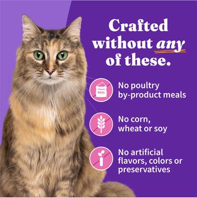 Turkey Recipe in Broth Adult Grain-Free Soft Pate Wet Cat Food, 5.5-oz can, case of 12