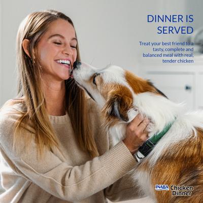 Chicken Dinner Cheese & Salmon Wet Dog Food, 2.4-oz pouch, case of 15