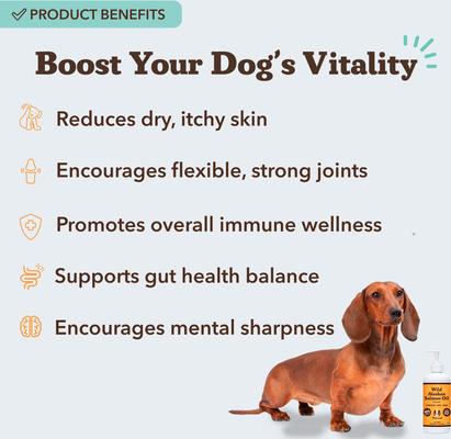 Wild Alaskan Salmon Oil Formula Liquid Supplement for Dogs, 32-fl oz bottle