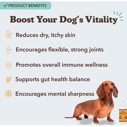 Suplemento líquido de aceite de salmón salvaje de Alaska para perros, botella de 944 ml