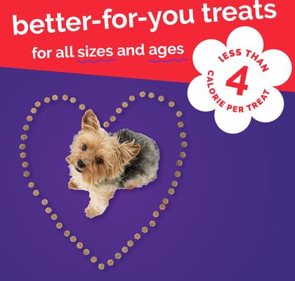 Skinny Minis Apple Bacon Flavor Soft & Chewy Dog Treats, 5-oz bag