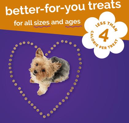 Skinny Minis Rotisserie Chicken Flavor Soft & Chewy Dog Treats, 5-oz bag