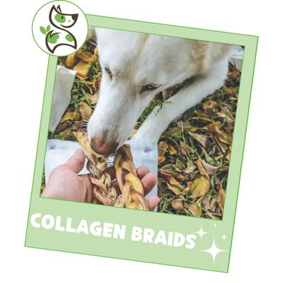 5 to 6-in Beef Collagen Braids Dog Chew Treats, 5 count