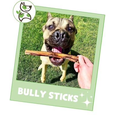 5 to 6-in Beef Bully Sticks Dog Chew Treats, 8-oz bag