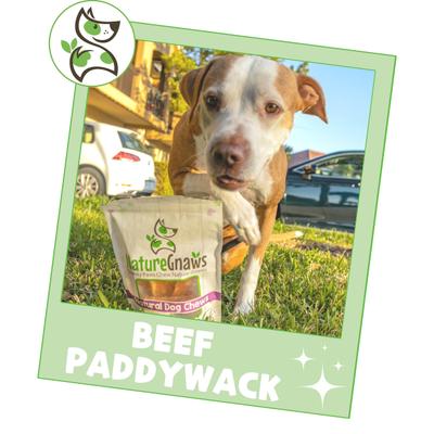 5 to 6-in Beef Paddywack Tendons Dog Chew Treats, 10 count