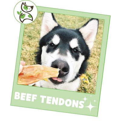 Beef Tendons Natural Dog Chew Treats, 1-lb bag