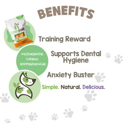 5 to 6-in Beef Paddywack Tendons Dog Chew Treats, 10 count