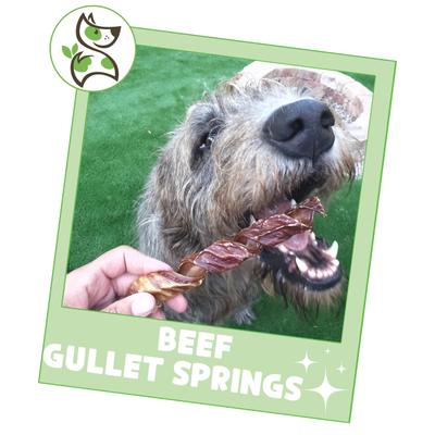 Golosinas masticables naturales para perros Beef Gullet Springs de 7 a 8 pulgadas, paquete de 6