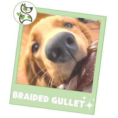 5 to 6-in Braided Gullet Sticks Natural Dog Chew Treats, 10 count