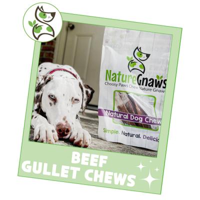 9 to 10-in Beef Gullet Natural Dog Chew Treats, 10 count