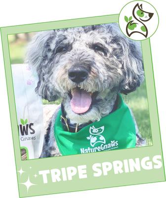 7-8-inch Tripe Twist Springs Beef Flavor Dog Chews, 10 count