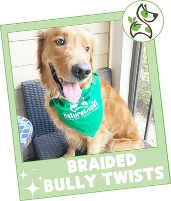 5 to 6-in Braided Bully Twists Natural Dog Chew Treats, 10 count