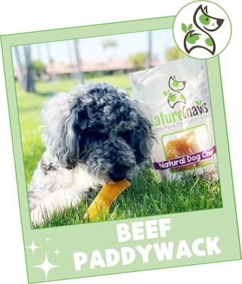 5 to 6-in Beef Paddywack Tendons Dog Chew Treats, 10 count