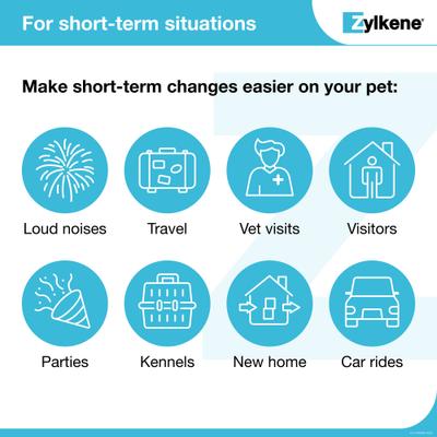 Zylkene 75-mg Capsules Calming Supplement for Small Dogs & Cats, 14 count