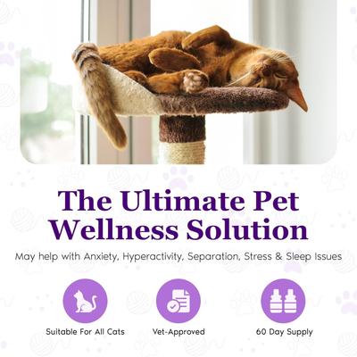 Purrfect Calm Diffuser for Cats, 1 Plugin, 2 refills