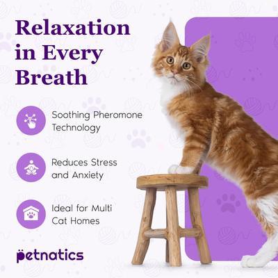 Purrfect Calm Diffuser for Cats, 1 Plugin, 2 refills