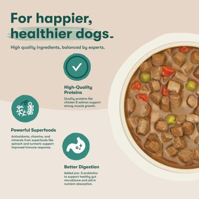 Bone Broth Stew Chicken & Salmon Variety Pack Wet Dog Food, 13-oz can, case of 12