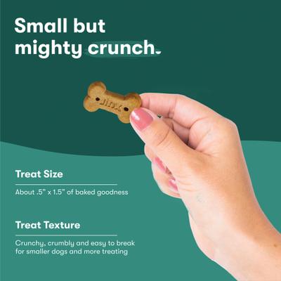 Beef Bone Broth Mini Biscuits Crunchy Dog Treats, 32-oz bag