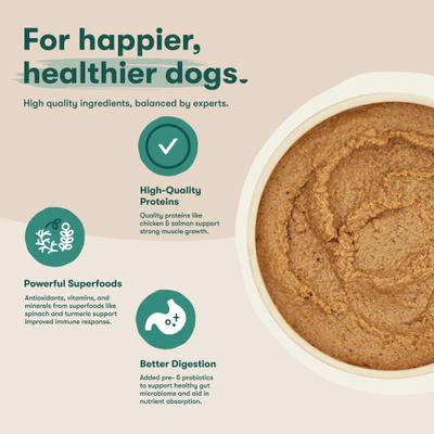 Alimento húmedo para perros con pollo y salmón, paquete variado, lata de 13 oz, caja de 12