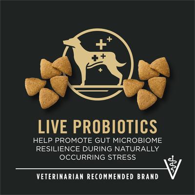 Sport Active All Life Stages High-Protein 27/17 Chicken & Rice Formula Dry Dog Food, 37.5-lb bag